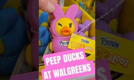 Peep ducks at Walgreens and Yes I did find some later at Target too. They are so cute #duckalooz