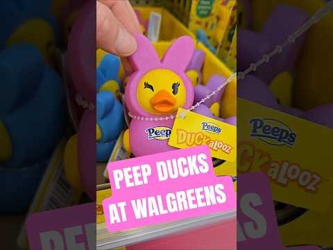 Peep ducks at Walgreens and Yes I did find some later at Target too. They are so cute #duckalooz