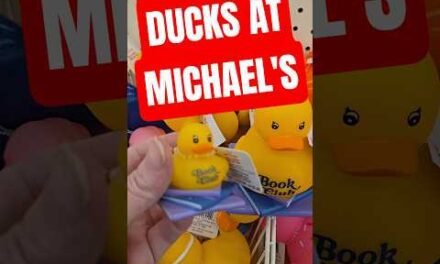 Book Club Ducks at Michael’s #Michaels #ducks #bookclubducks #bookclub #ducksoftiktok