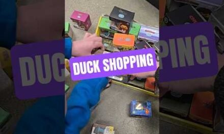 We are shopping for some ducks #ducks #duckhunting #shopping