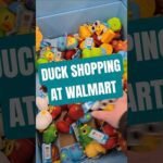 Another day looking for some ducks #duckshopping #duckalooz #Disneyducks #ducks #ducksoftiktok