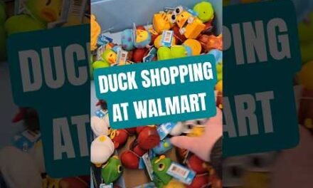 Another day looking for some ducks #duckshopping #duckalooz #Disneyducks #ducks #ducksoftiktok