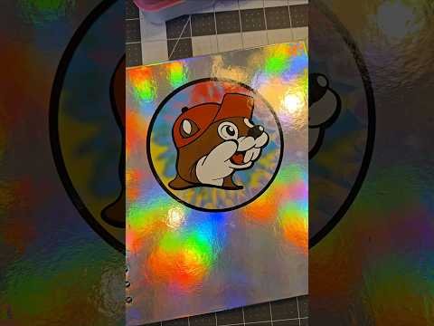 Let’s fill the Sticker Book #stickers #stickerbook #stickercollection