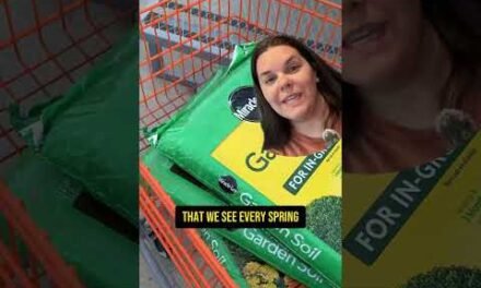 Home Depot Spring Black Friday 2026: Don’t Shop Without This Plan!