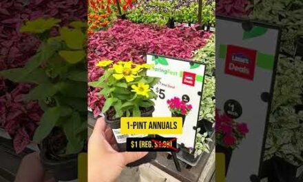 Lowe’s SpringFest 2026: Round 2 is ON! The 5 Deals You Don’t Want to Miss
