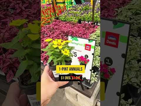 Lowe’s SpringFest 2026: Round 2 is ON! The 5 Deals You Don’t Want to Miss