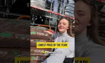 Guess How Much Mulch We Got for $20 at Home Depot? 🌿