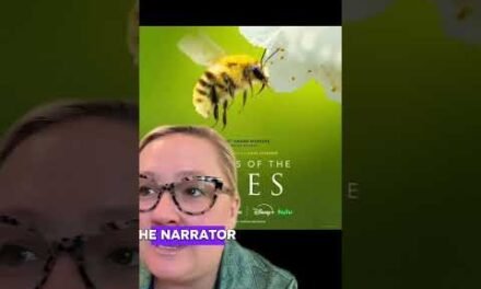 Secret Life of the Bees 🐝