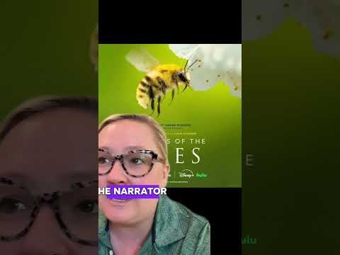 Secret Life of the Bees 🐝