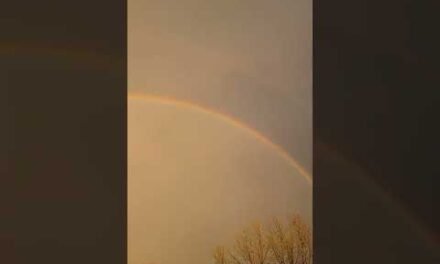 Double Rainbow