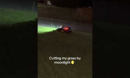 Cutting my grass by moonlight @Mammotion Tech #robot #grass #yard #technology #robotlawnmower