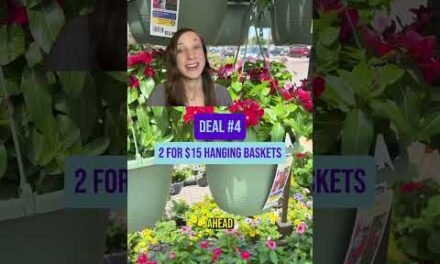 Lowe’s Memorial Day Sale 2026: 5 Deals Worth the Trip