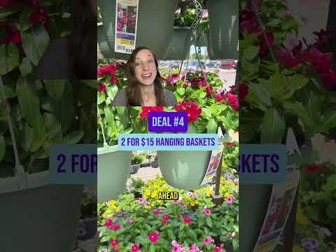 Lowe’s Memorial Day Sale 2026: 5 Deals Worth the Trip