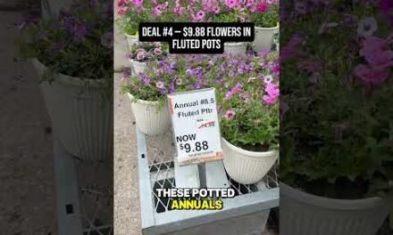 Home Depot Memorial Day Sale 2026: 5 Best Deals Worth Shopping