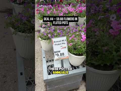 Home Depot Memorial Day Sale 2026: 5 Best Deals Worth Shopping
