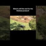 Watch until the end for those grass lines! Mammotion #lawn #lawnmover #robot #grass #mammotion