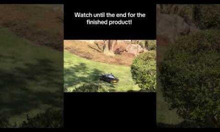 Watch until the end for those grass lines! Mammotion #lawn #lawnmover #robot #grass #mammotion
