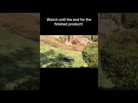 Watch until the end for those grass lines! Mammotion #lawn #lawnmover #robot #grass #mammotion