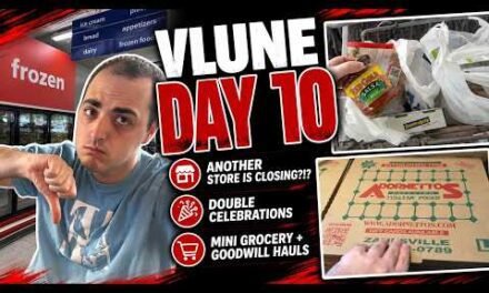 ANOTHER STORE IS CLOSING?!? ~ DOUBLE CELEBRATIONS! ~ MINI GROCERY + GOODWILL HAULS ~ VLUNE DAY 10