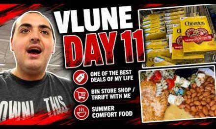 ONE OF THE BEST DEALS OF MY LIFE! ~ BIN STORE SHOP / THRIFT WITH ME ~ SUMMER COMFORT FOOD ~ VLUNE 11