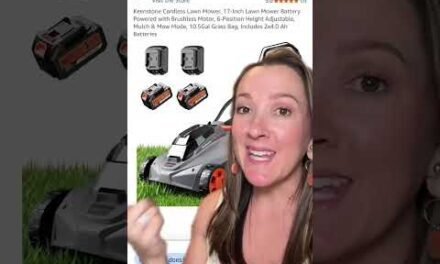 Best Amazon Deals up to 75% off!