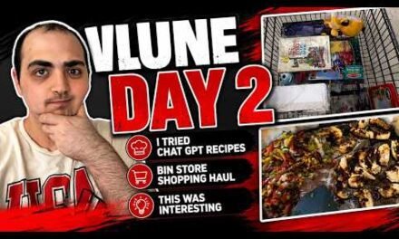 I TRIED CHAT GPT RECIPES…..THIS WAS INTERESTING ~ BIN  STORE SHOPPING HAUL! ~ VLUNE DAY 2