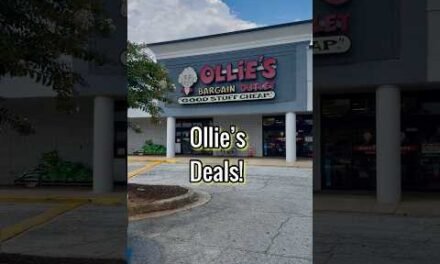 Ollie’s Bargain Outlet Deals! #BudgetShopping #Deals #shoppingvlog #olliesbargainoutlet