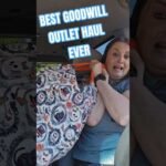 One of the Best Shopping Trips at the Goodwill Outlet Bins #goodwill #goodwillbins #goodwillhaul