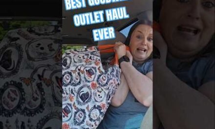 One of the Best Shopping Trips at the Goodwill Outlet Bins #goodwill #goodwillbins #goodwillhaul