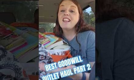Goodwill Outlet Haul. One of the Best Shopping Trips at the Goodwill Outlet Bins #goodwill