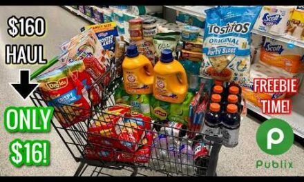 Publix Free & Cheap Grocery Couponing Deals & Haul| HOUSEHOLD STOCK UP! 🙌🏾🔥| 7/1-7/7 or 7/2-7/8
