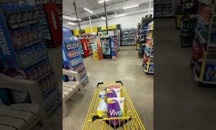 7/13-7/18 DOLLAR GENERAL HAUL (VIVA, BLEACH & MORE) HUGE SAVINGS! #dgcouponing
