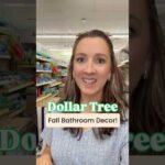 Dollar Tree FALL Decor!