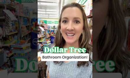 Dollar Tree Bathroom Organization!