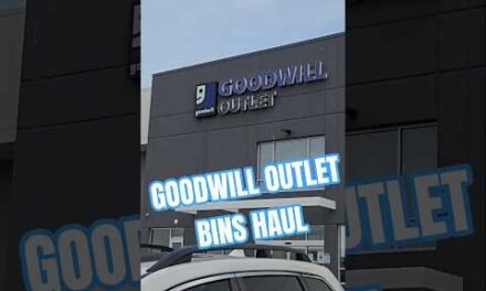 Goodwill Outlet Bins Shopping Haul #goodwill #goodwilloutlet #goodwillbins #goodwillhaul #books