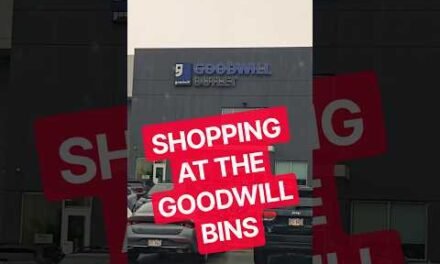 Goodwill Shopping at the Outlet Bins #goodwill #outlet #goodwillbins #thrifting #goodwillfinds