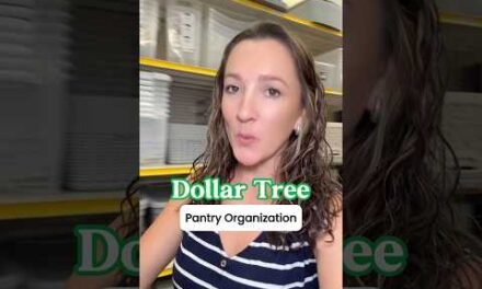 Dollar Tree Pantry Organization!