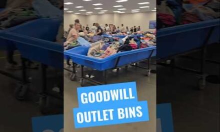 Goodwill Outlet Shopping #goodwill #goodwillbins #goodwilloutlet #outletshopping #thrifting