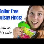 Dollar Tree Squishy Finds 9/29/26