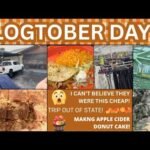 I CAN’T BELIEVE THEY WERE THIS CHEAP ~ TRIP OUT OF STATE ~ MADE APPLE CIDER DONUT CAKE ~ VLOGTOBER 7