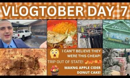 I CAN’T BELIEVE THEY WERE THIS CHEAP ~ TRIP OUT OF STATE ~ MADE APPLE CIDER DONUT CAKE ~ VLOGTOBER 7