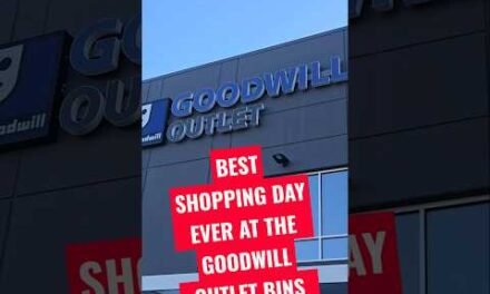 Goodwill Shopping at the Outlet Bins. Best Haul Ever Part 1 of 3 #goodwill #outlet #goodwillbins