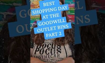 Goodwill Shopping at the Outlet Bins. Best Haul Ever Part 2 of 3 #goodwill #outlet #goodwillbins