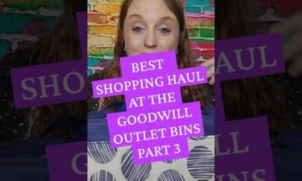 Goodwill Shopping at the Outlet Bins. Best Haul Ever Part 3 of 3 #goodwill #outlet #goodwillbins